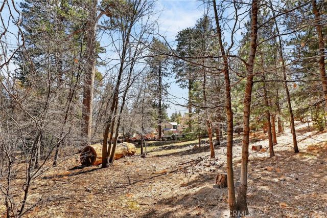 0 Cepu, Running Springs, CA 92382