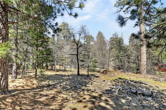 0 Cepu, Running Springs, CA 92382