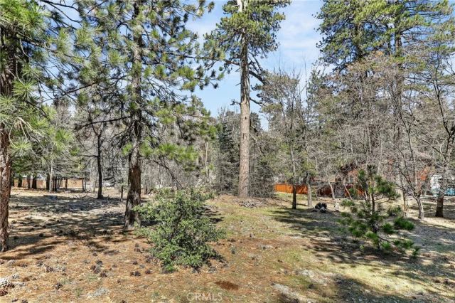 0 Cepu, Running Springs, CA 92382