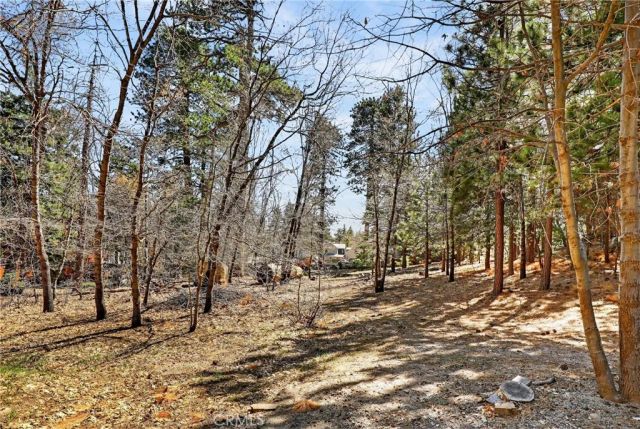 0 Cepu, Running Springs, CA 92382