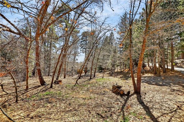0 Cepu, Running Springs, CA 92382