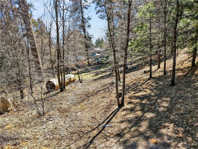 0 Cepu, Running Springs, CA 92382