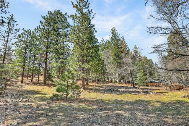 0 Cepu, Running Springs, CA 92382