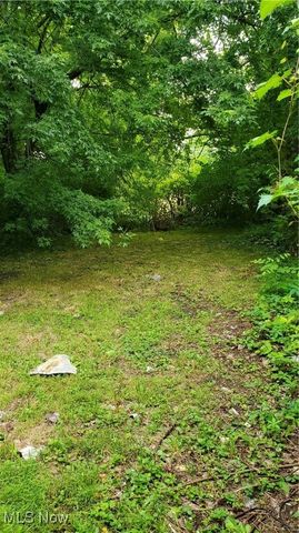 2307 E 103rd Street, Cleveland, OH 44106