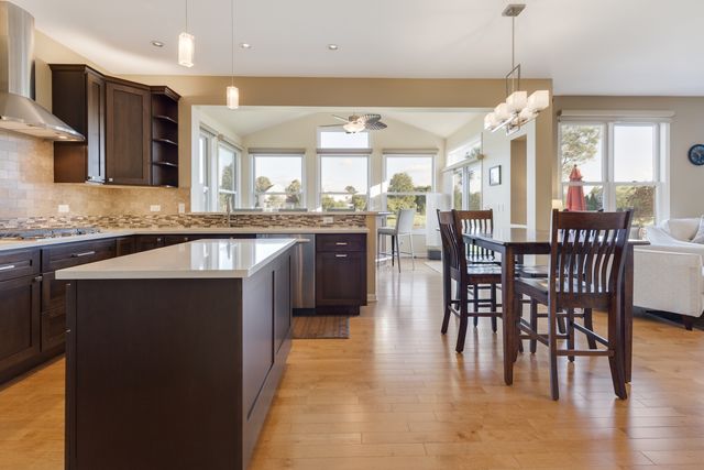 12 Baldwin Court, Lake In The Hills, IL 60156