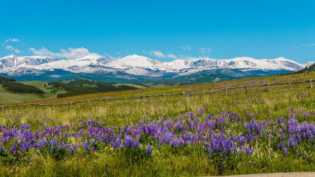Big Horn Mountain, Buffalo, WY 82834