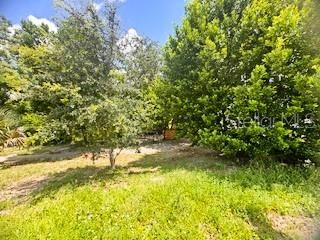 714 N NORMANDALE AVENUE, Orlando, FL 32808