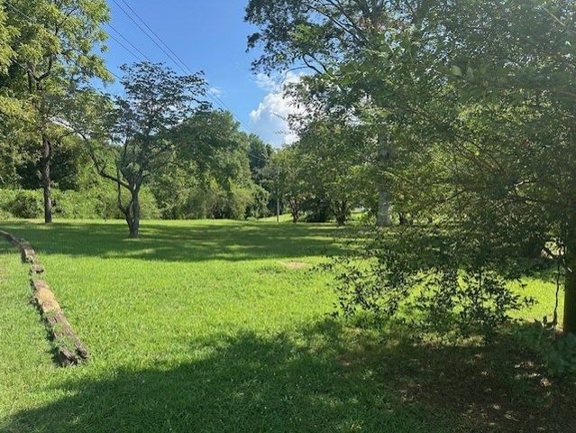 0 Call Wright Road, Ellijay, GA 30540