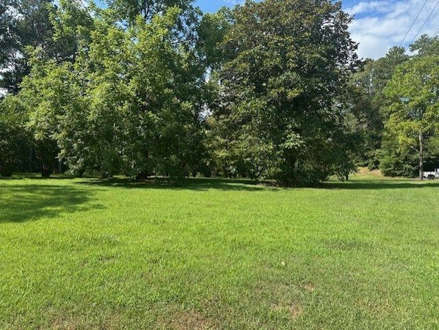 0 Call Wright Road, Ellijay, GA 30540