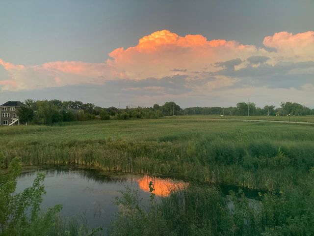 11042 Yalta Street NE D, Blaine, MN 55449