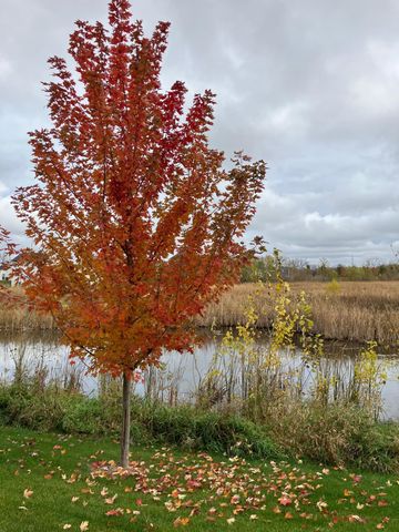 11042 Yalta Street NE D, Blaine, MN 55449