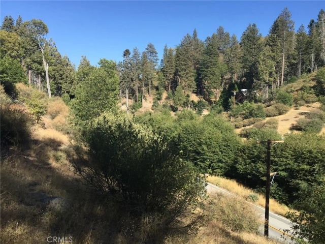 29751 Redwood, Cedar Glen, CA 92321