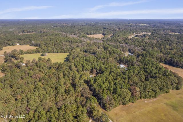 304 Boggy Hollow Road, Purvis, MS 39475
