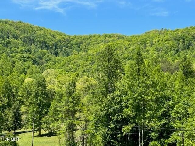 1438 Ely Town Road, Dryden, VA 24243