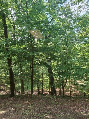 23864 S Plum Valley Drive, Crete, IL 60417