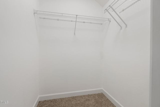 1604 Timber Wolf Drive, Durham, NC 27713