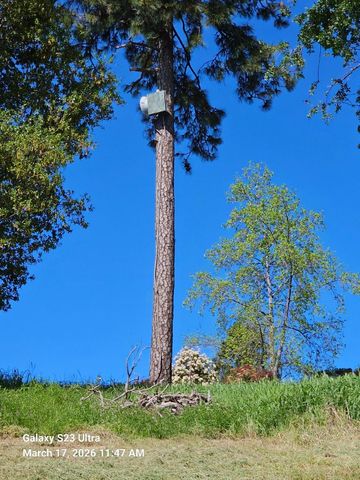 21946 Angeli Pl, Grass Valley, CA 95949