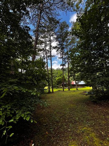 266 Cove Hill Road, Pikeville, TN 37367