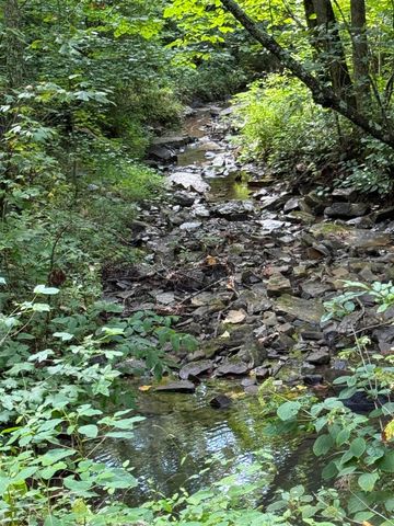 266 Cove Hill Road, Pikeville, TN 37367