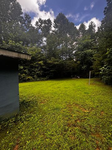 266 Cove Hill Road, Pikeville, TN 37367