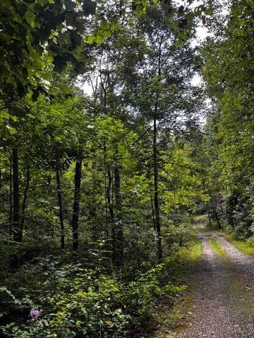 266 Cove Hill Road, Pikeville, TN 37367