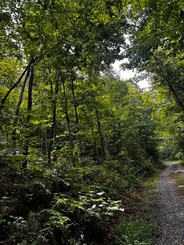266 Cove Hill Road, Pikeville, TN 37367