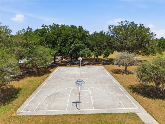 19409 GOLDEN SLIPPER PLACE, Lutz, FL 33558
