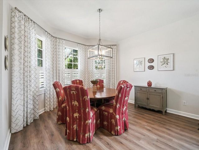 19409 GOLDEN SLIPPER PLACE, Lutz, FL 33558