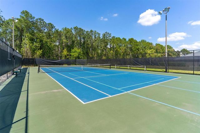 3001 ISOLA BELLA BOULEVARD, Mount Dora, FL 32757