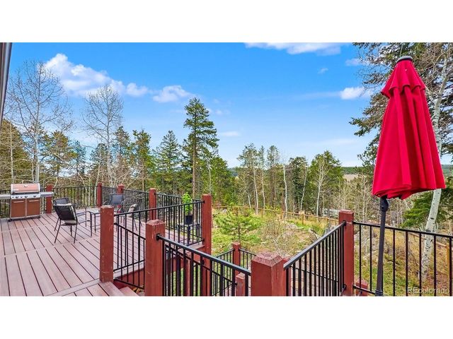 11049 Schweigert Ave, Conifer, CO 80433