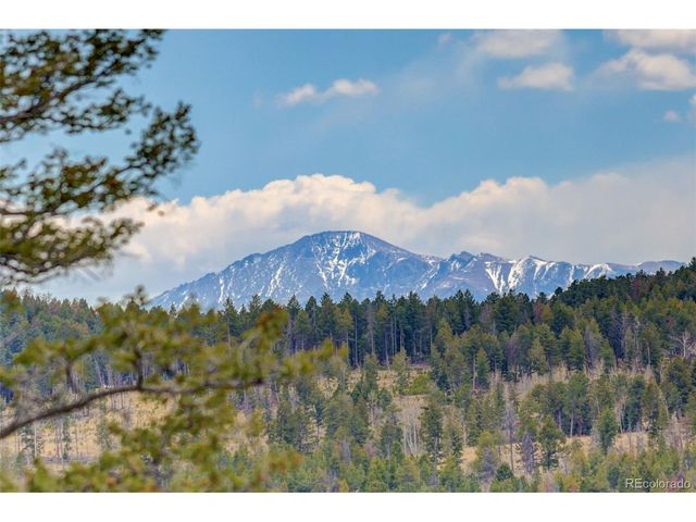 11049 Schweigert Ave, Conifer, CO 80433