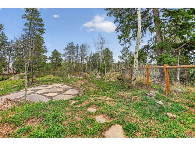 11049 Schweigert Ave, Conifer, CO 80433