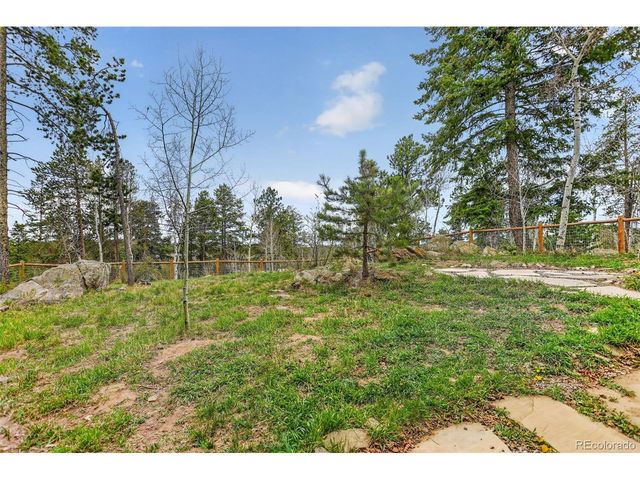 11049 Schweigert Ave, Conifer, CO 80433