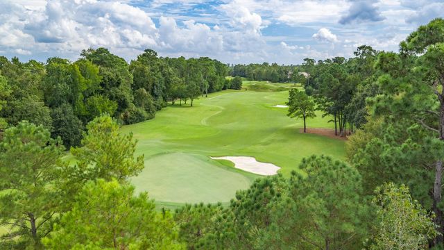 7 Primm Valley Ct, The Woodlands, TX 77389