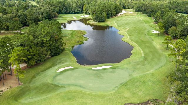 7 Primm Valley Ct, The Woodlands, TX 77389