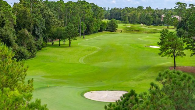 7 Primm Valley Ct, The Woodlands, TX 77389