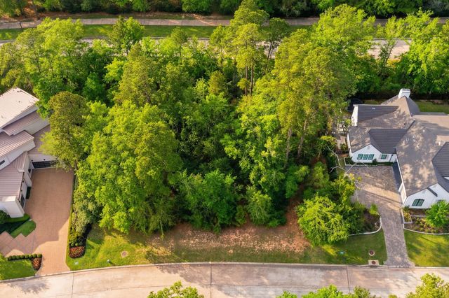 7 Primm Valley Ct, The Woodlands, TX 77389