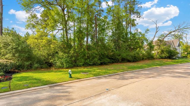 7 Primm Valley Ct, The Woodlands, TX 77389
