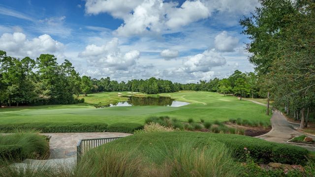 7 Primm Valley Ct, The Woodlands, TX 77389