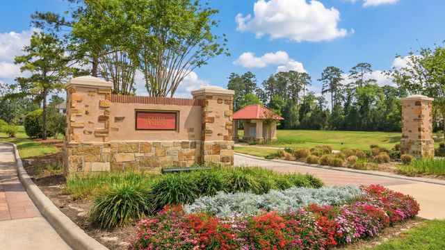 7 Primm Valley Ct, The Woodlands, TX 77389