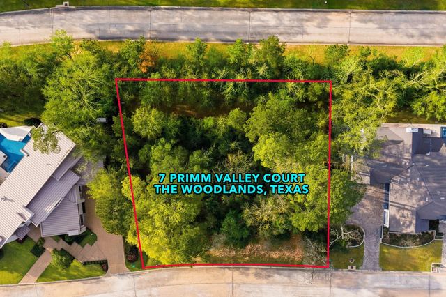 7 Primm Valley Ct, The Woodlands, TX 77389