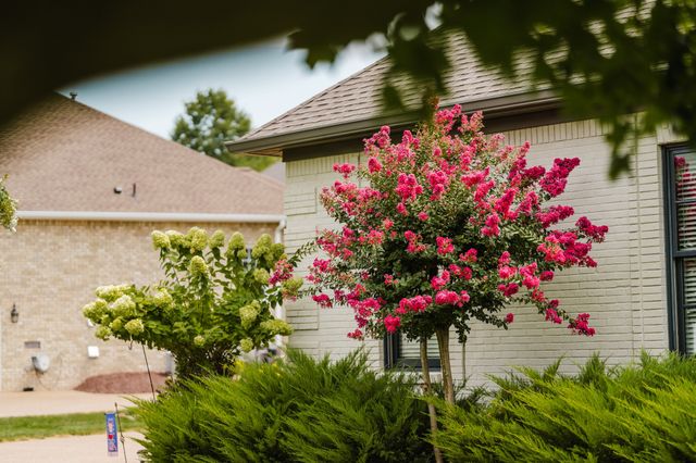 107 Meadowlake Dr, Gallatin, TN 37066