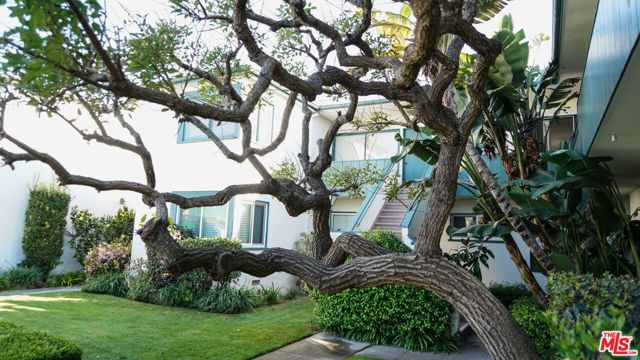 2033 Euclid Street 7, Santa Monica, CA 90405