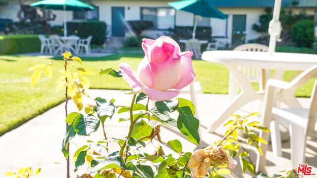 2033 Euclid Street 7, Santa Monica, CA 90405