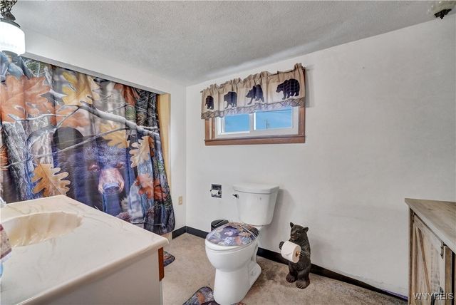 273 Broad Bay Circle, Machias, NY 14101