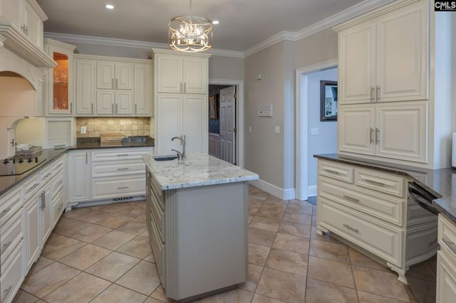 100 Birkdale Court, Lexington, SC 29072