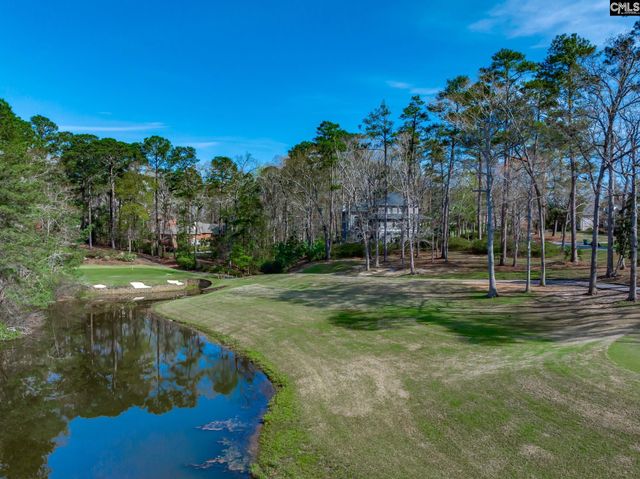 100 Birkdale Court, Lexington, SC 29072