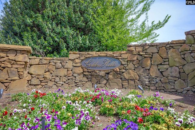 100 Birkdale Court, Lexington, SC 29072