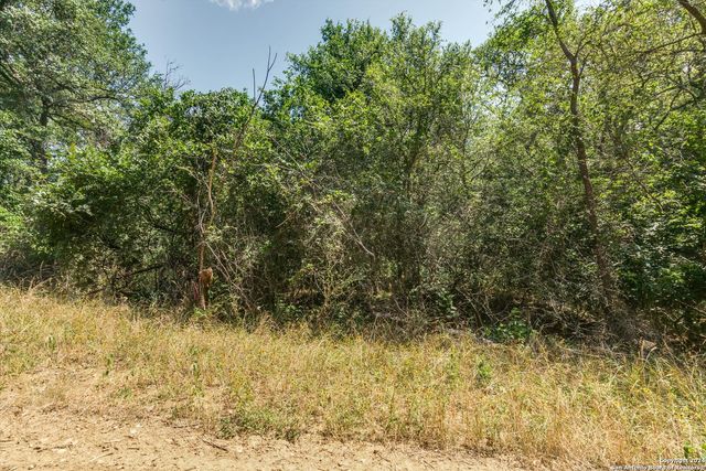 LOT 650 Kaukonahua Ln, Bastrop, TX 78602