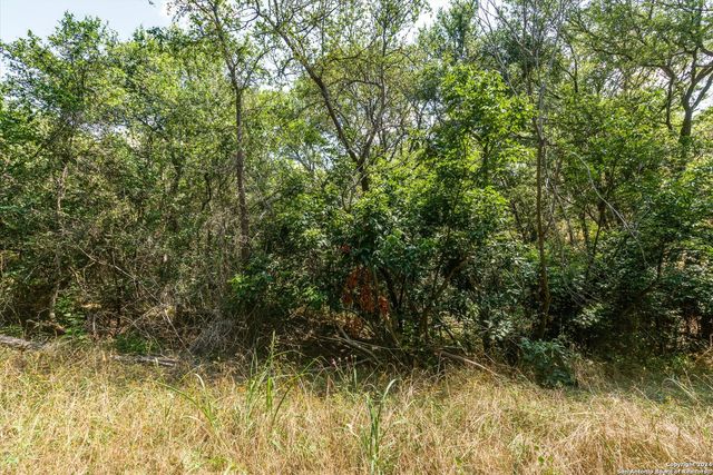 LOT 650 Kaukonahua Ln, Bastrop, TX 78602